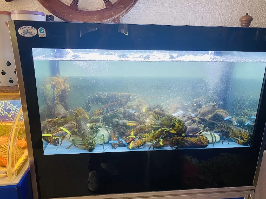 Gli OstiNati_Fiumefreddo Bruzio_slider_image_1