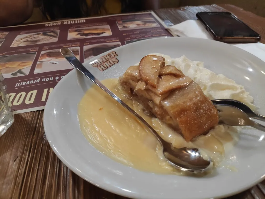 kaushik sathish_Wiener Haus_Fiumara_review