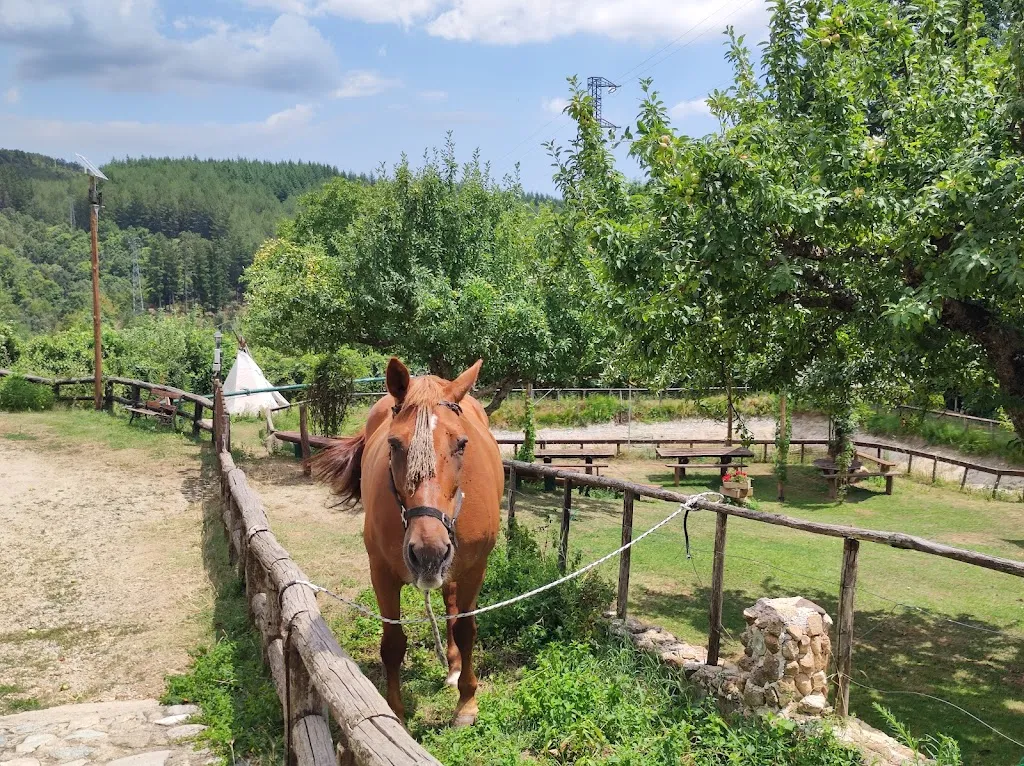 Vito Falbo_Contrada Carrozzino - Locanda Sincera (L'ORIGINALE)_Fossato Serralta_review