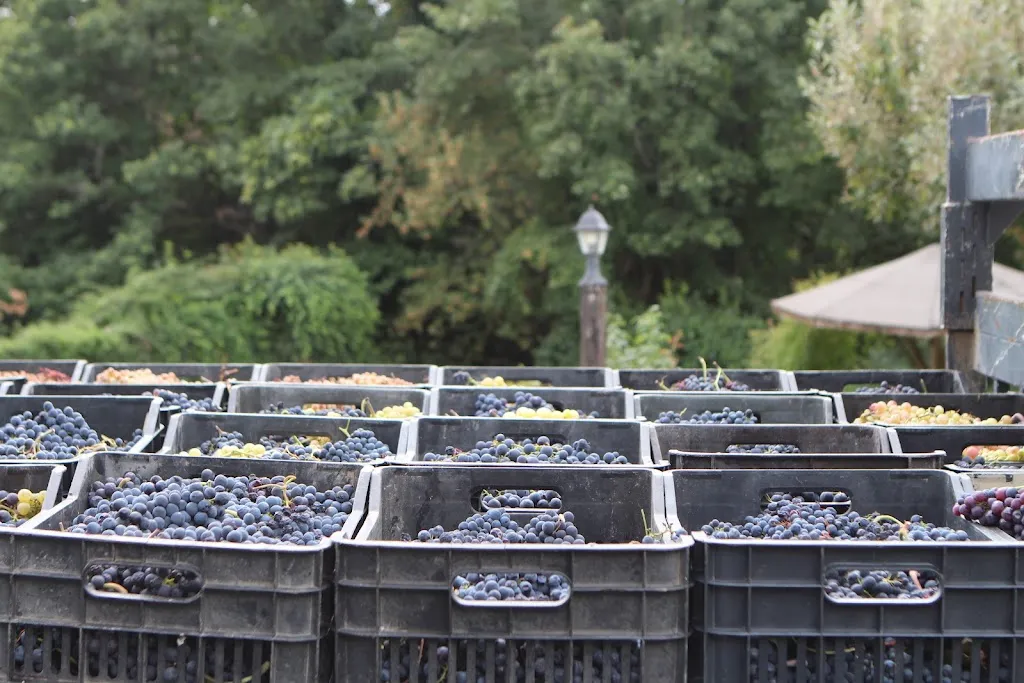 Contrada Carrozzino - Locanda Sincera (L'ORIGINALE)_Fossato Serralta_slider_image_3