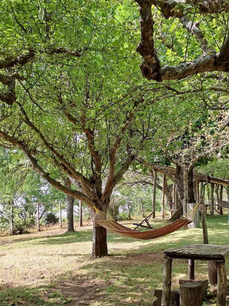 Maria Gromadzka_Ristorante dell' Agriturismo Carrozzino di Torchia Rosa_Fossato Serralta_review