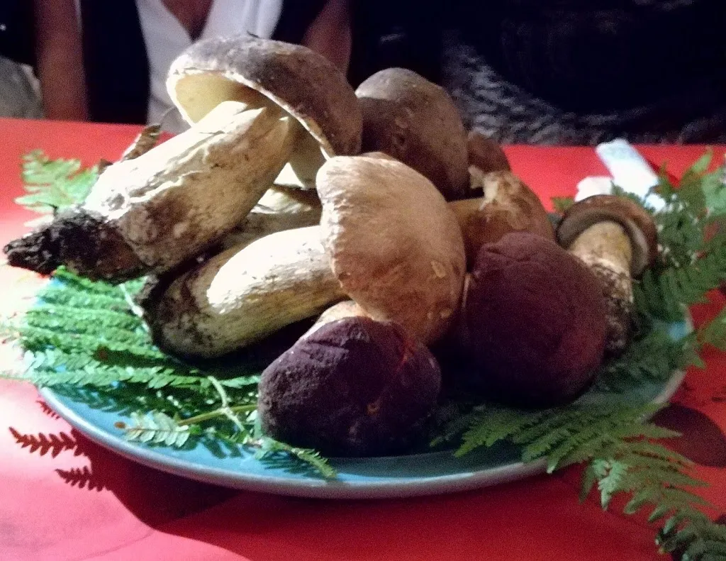 Menu_Ristorante Scacco Matto_Fossato Serralta_image_6