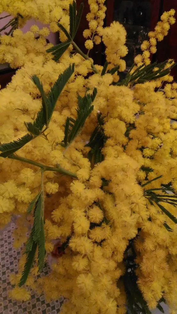 Menu_Bar-Pizzeria Galluzzo_Francica_image_5