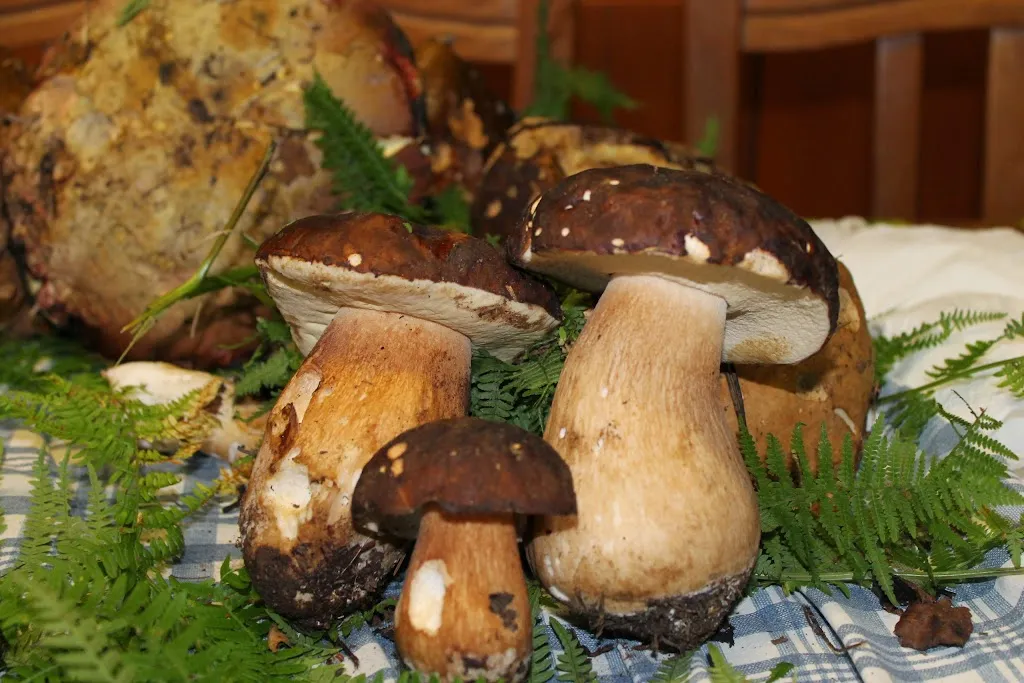 Ristorante La Paladina_Gasperina_slider_image_3