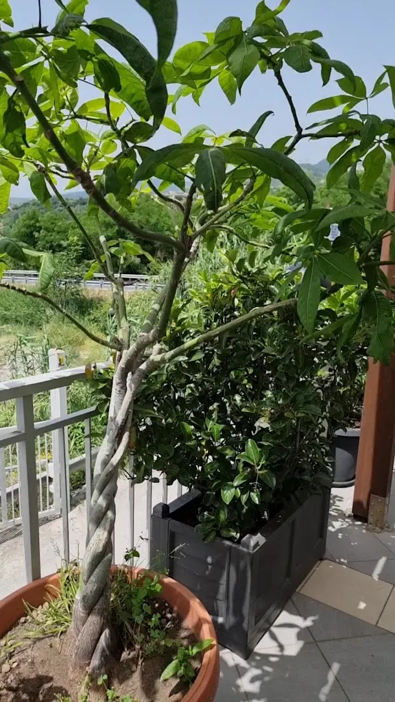 3 Jolie_Fuscaldo_slider_image_2