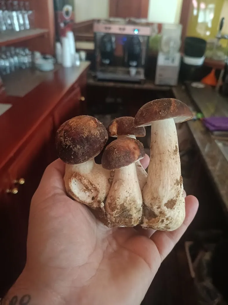 Menu_Cuore & Sapore_Girifalco_image_3