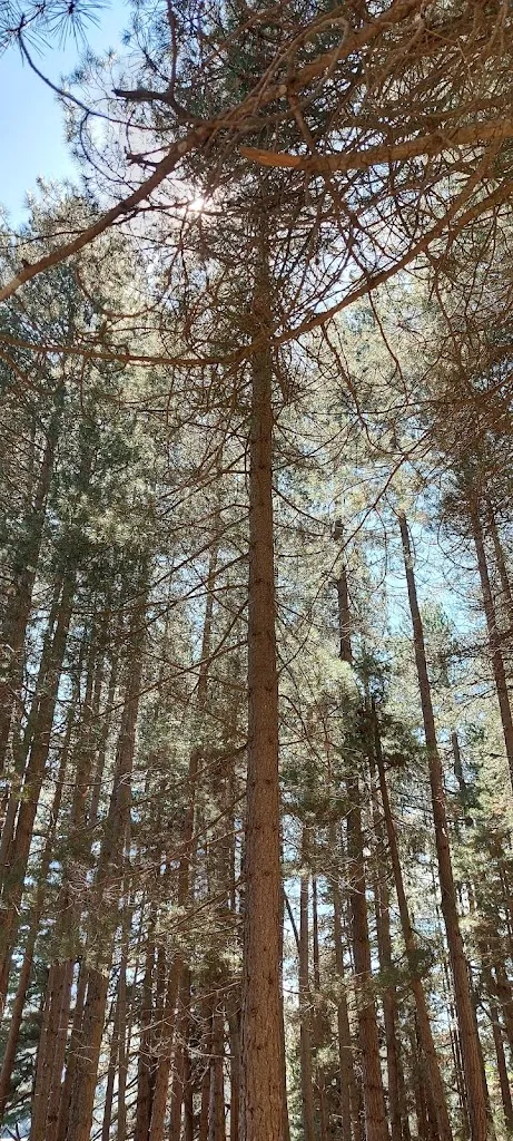 janine Bonnici_Parco Di Monte Covello_Girifalco_review