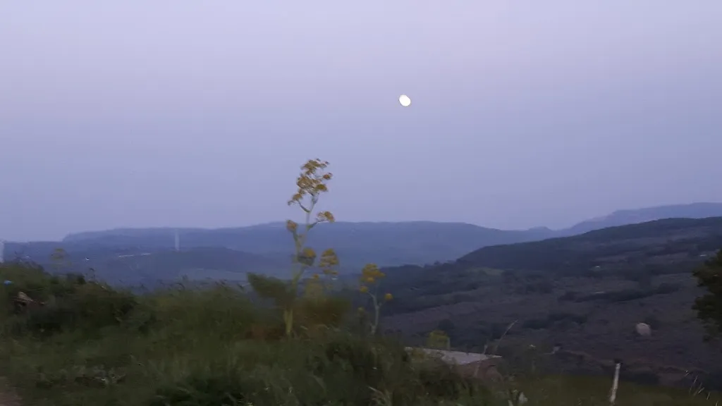 Giuseppe Tolone_Il Falco d’oro_Girifalco_review