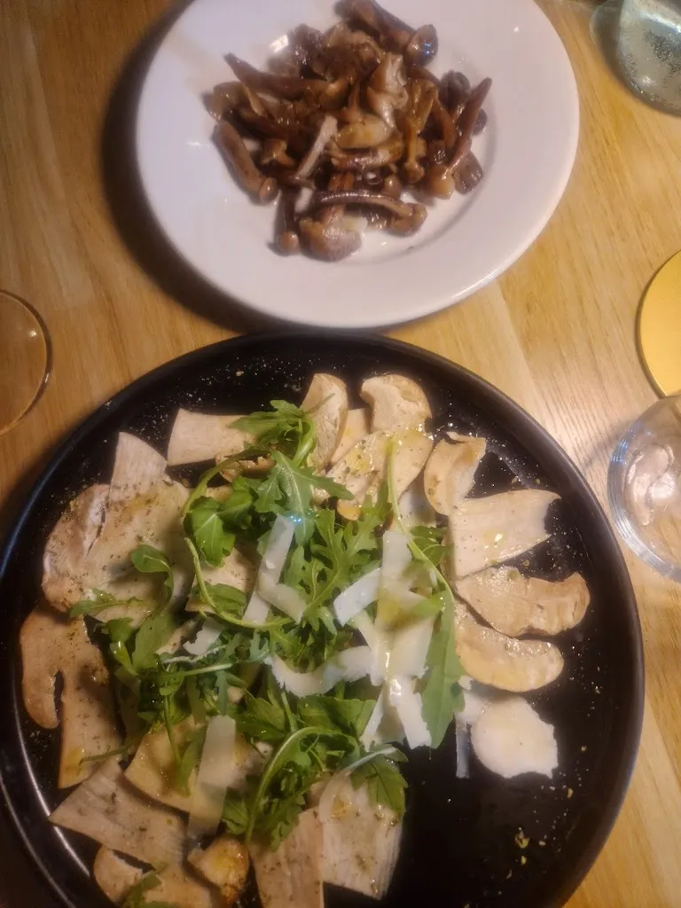 Archimede Tancredi_Il Falco d’oro_Girifalco_review