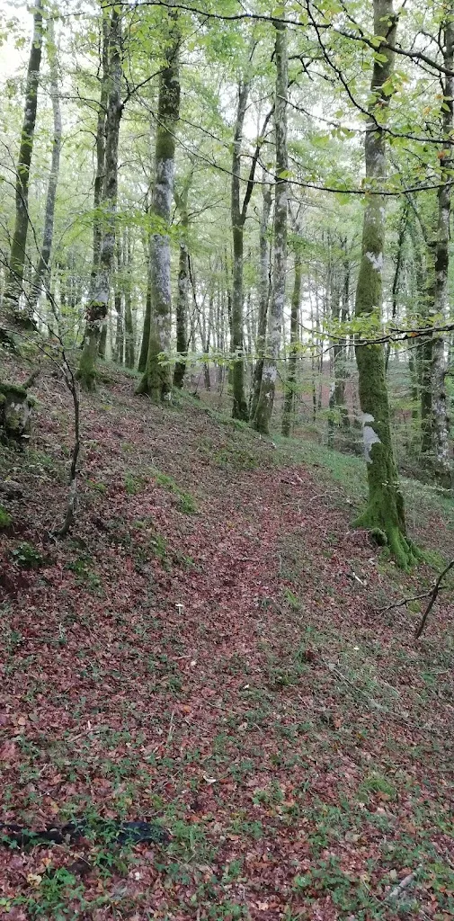 Domenico Tavernese_Ristorante L'Incontro_Grotteria_review