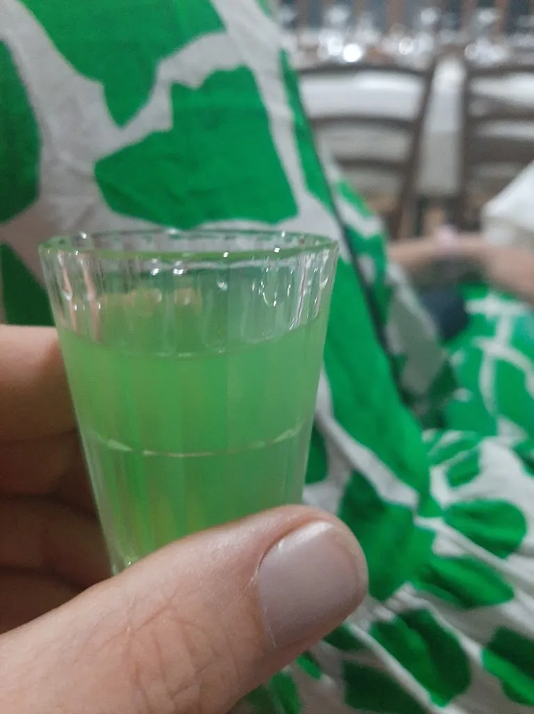 Robert Szabo_Pietra d'Oro_Grisolia_recensione