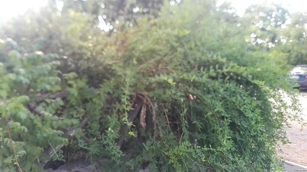 Farmhouse Villa Vittoria_Guardavalle_slider_image_2