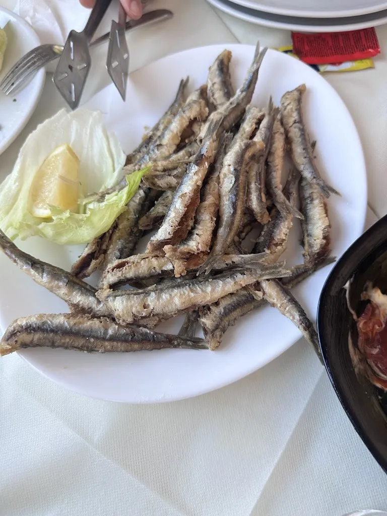 Stefania Zelli_Follie di Mena_Guardia Piemontese_review