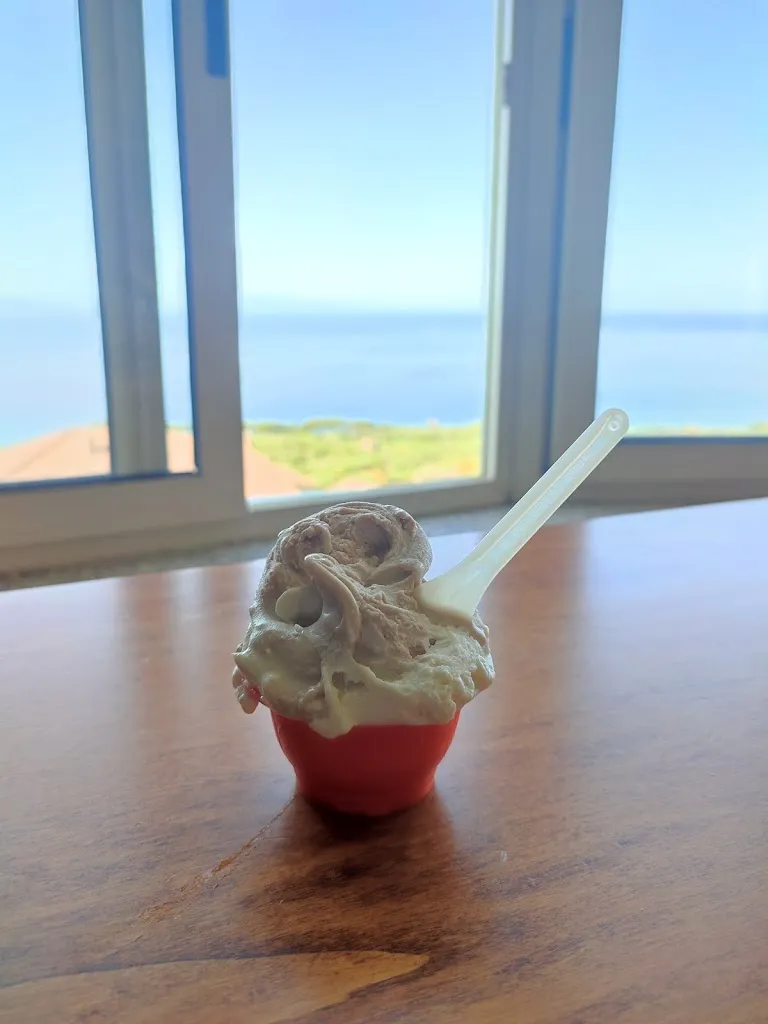 Salvo GRECH _On The Road Bar Gelateria Tabacchi Pizzeria_Joppolo_review