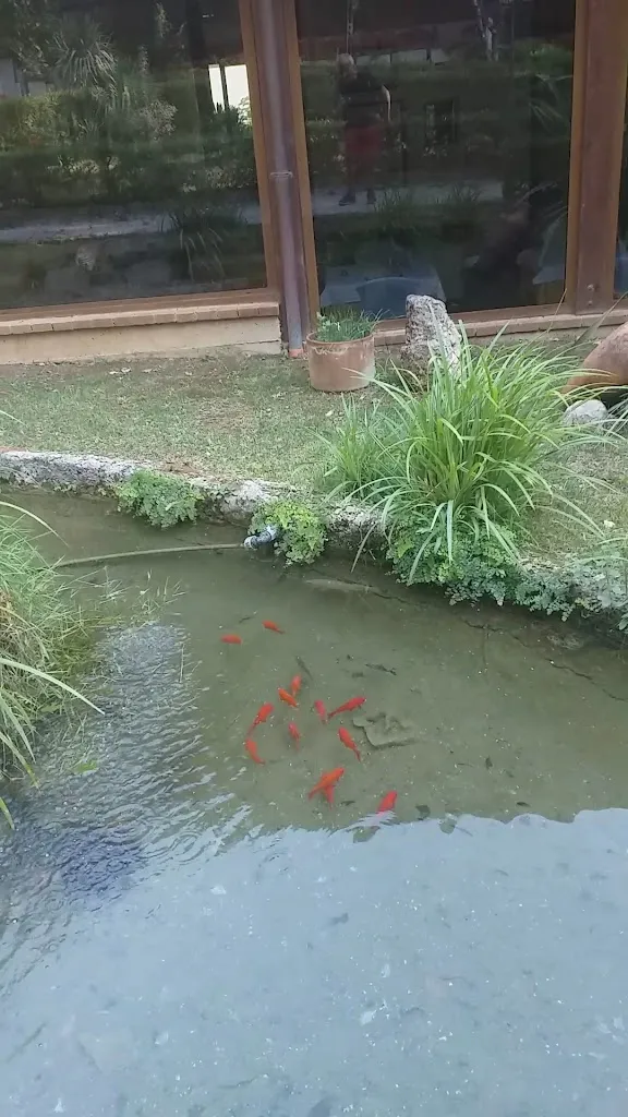 Chiar di Luna 2.0_Laino Borgo_slider_image_2