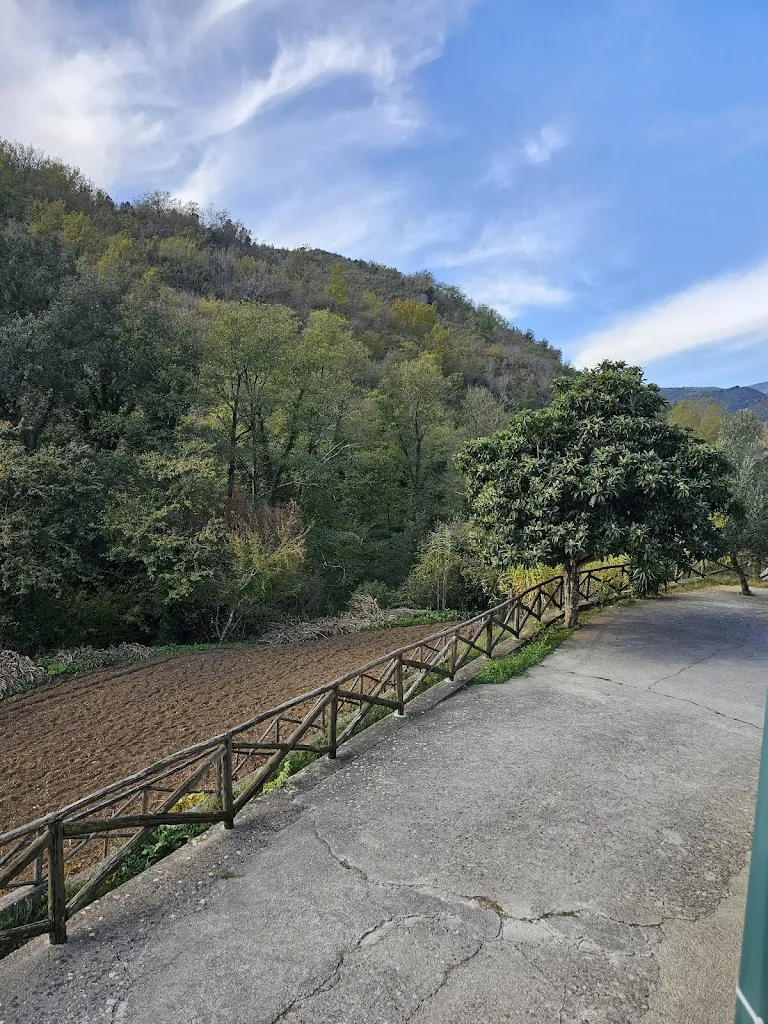 Joe Cutro_Palia's Hotel Bar_Laino Borgo_review