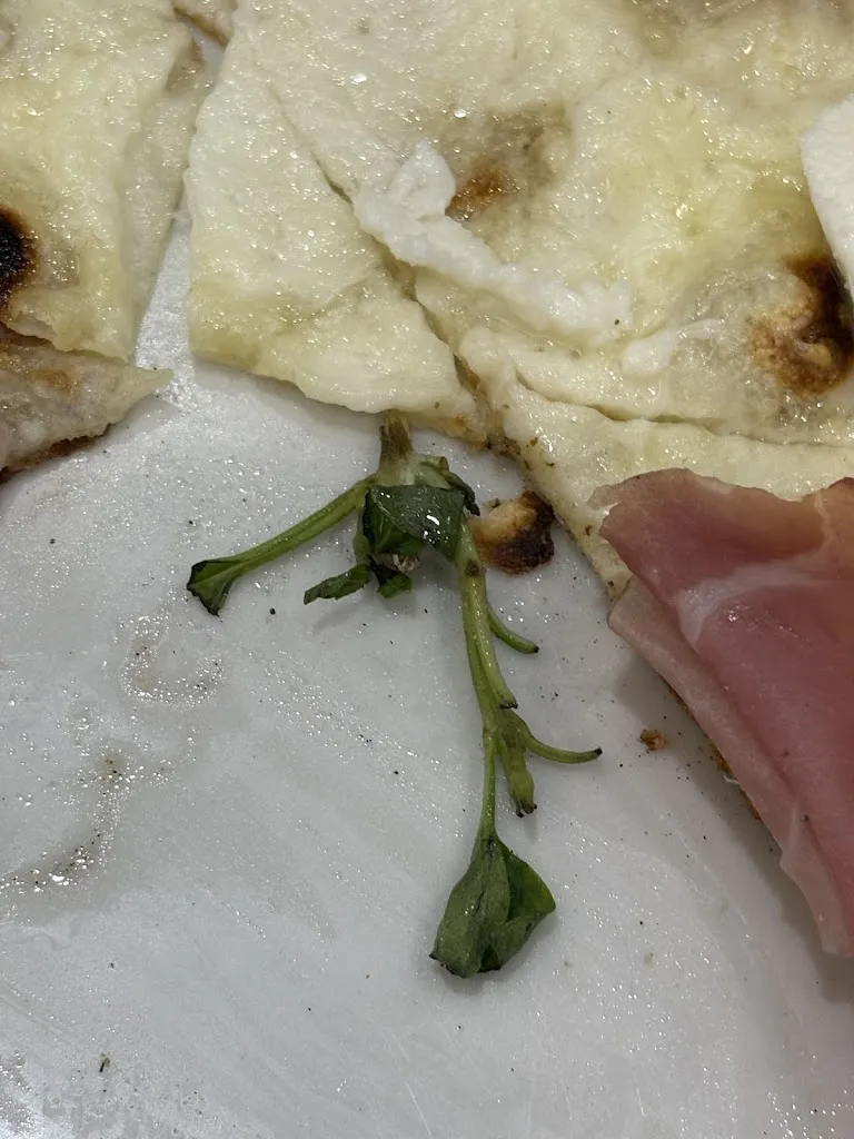 Alessia Verza_Due Nodi_Lamezia Terme_review