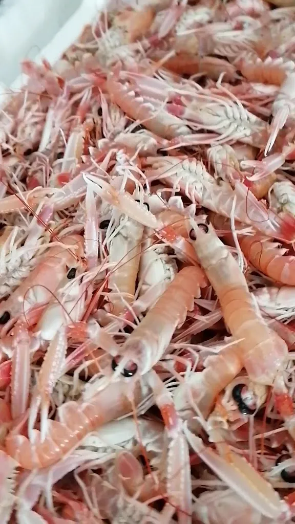 Ristorante Acquarium_Coppito_slider_image_2