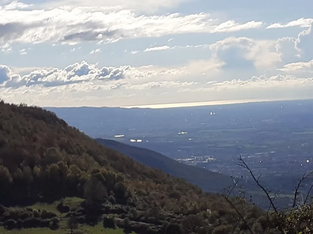 Marcellina_Marcellina_slider_image_2