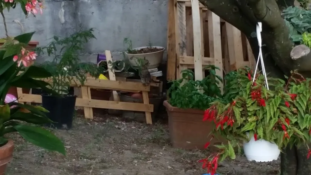 Bar Stella Sas Di Luigi Rotundo E C._Marcellinara_slider_image_2