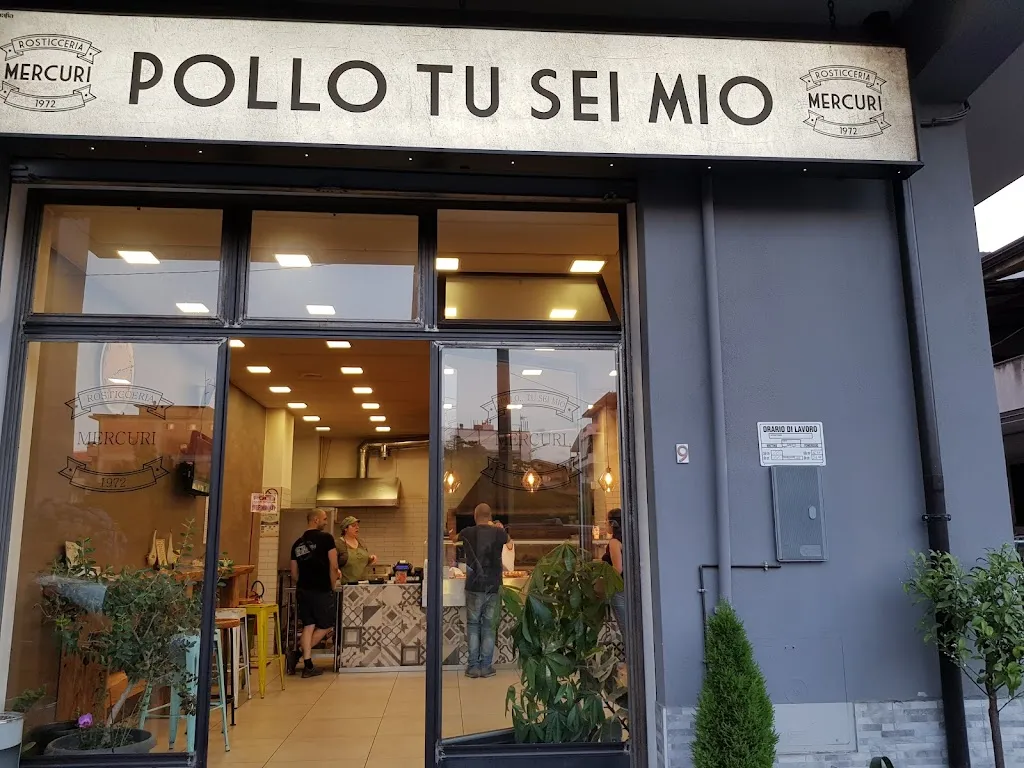Pollo tu sei mio - Polleria - Rosticceria - Produzione propria di Arancini_Melicucco_slider_image_3