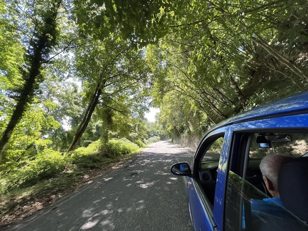 John Paul Ruttan_Il ritrovo di franco gaudio_Mendicino_recensione