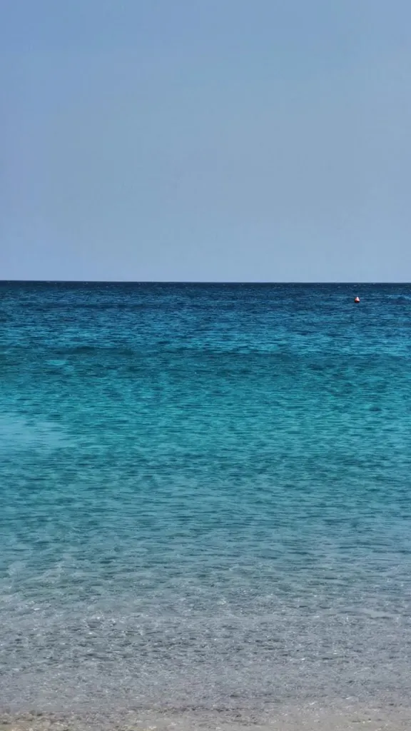 Restaurant Hotel Villa Susy_Marina di Davoli_slider_image_2