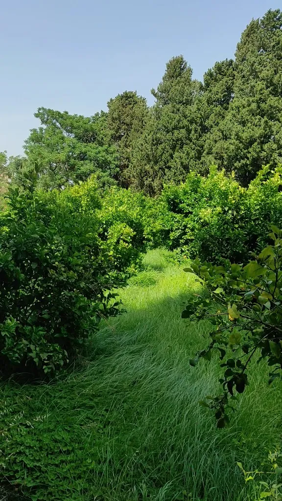 B&B Calabria _Marina di Davoli_slider_image_2