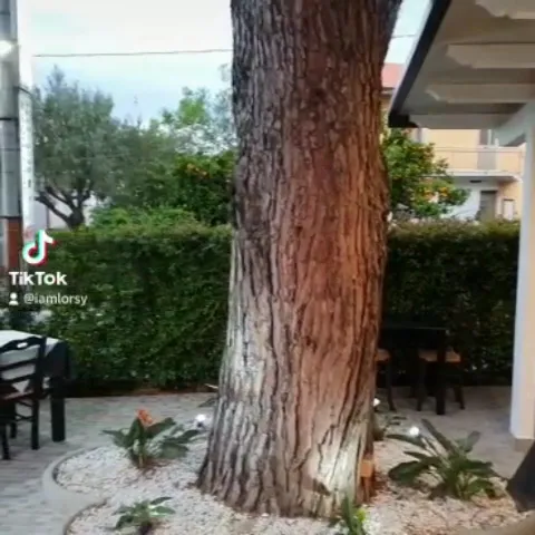 Pizzeria Griglieria Rosticceria 