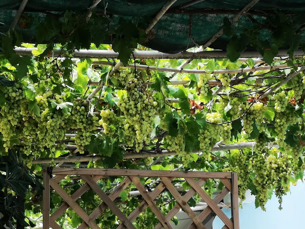 Pizzeria il sole del levante ristorante a Monasterace