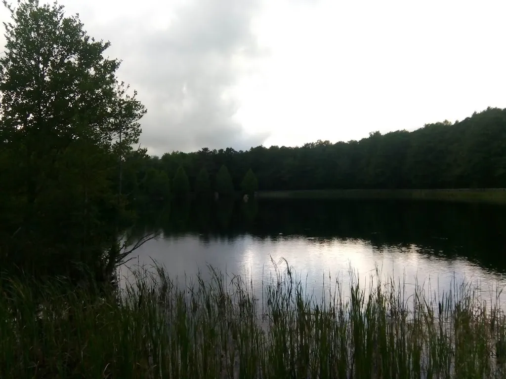 Le Delizie Del Bosco restaurant in Mongiana