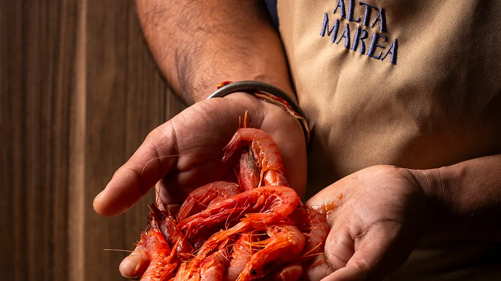 Alta Marea_Montepaone Lido_slider_image_3