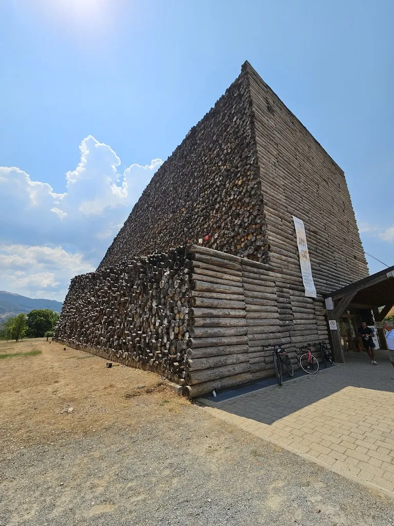 Federica Lucia Vinella_Catasta_Morano Calabro_recensione