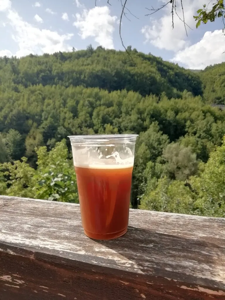 Menu_La Casa di Cura_Crognaleto_immagine_9