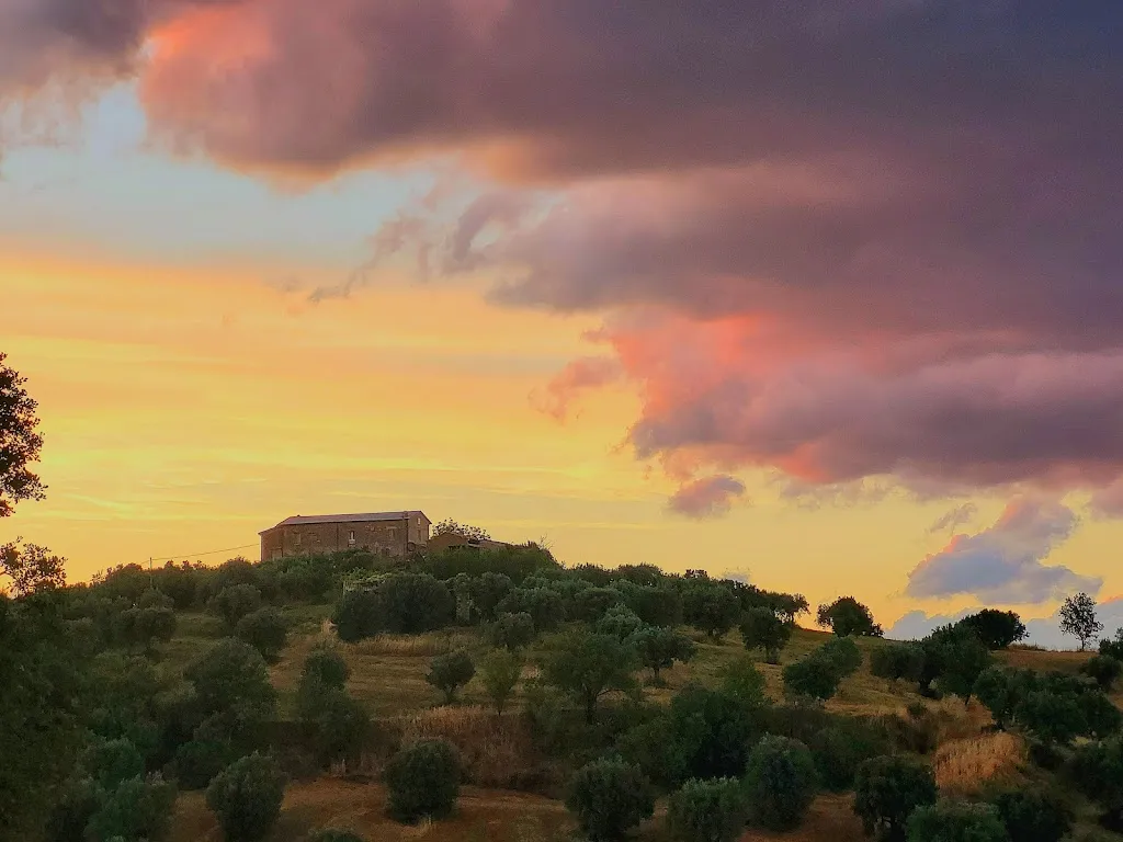 Alessandro Tarsia_Tenuta Caminata_Montalto Uffugo_review