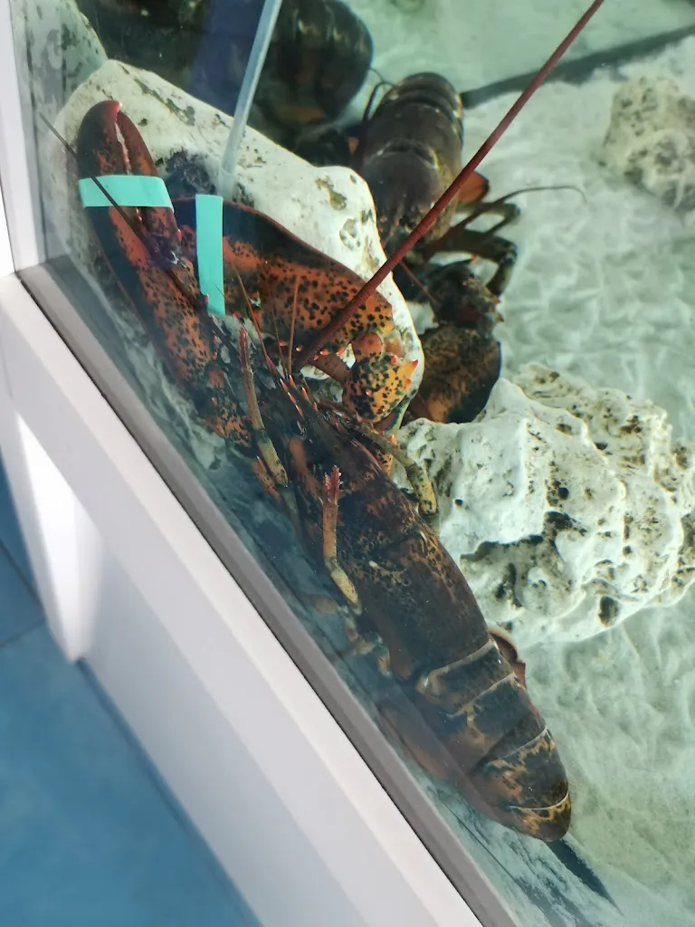 A K_Il Rombo_Montalto Uffugo_review