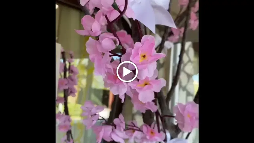 Villa Santa Caterina_Montalto Uffugo_slider_image_2