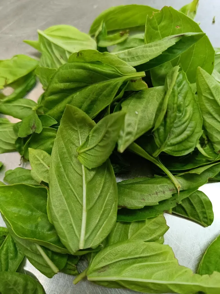 Menu_Old Cafè_Montalto Uffugo_image_9