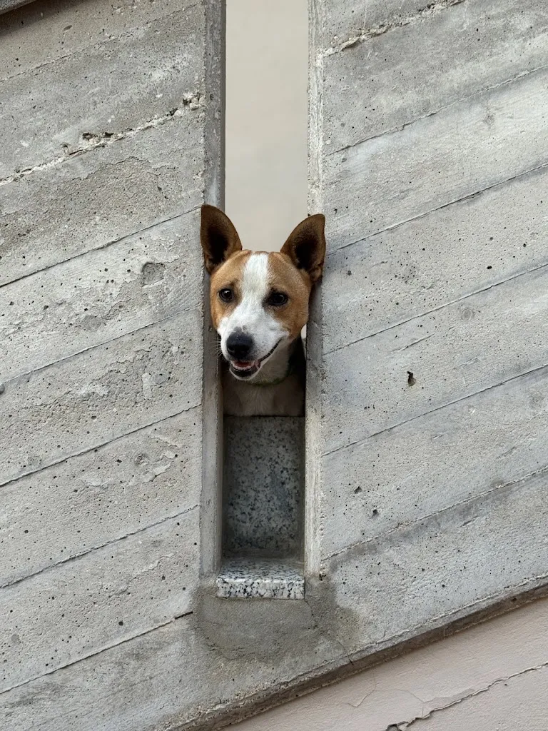 Rebbecca Johnson_Bar Ristorante Cesura_Cugnoli_review