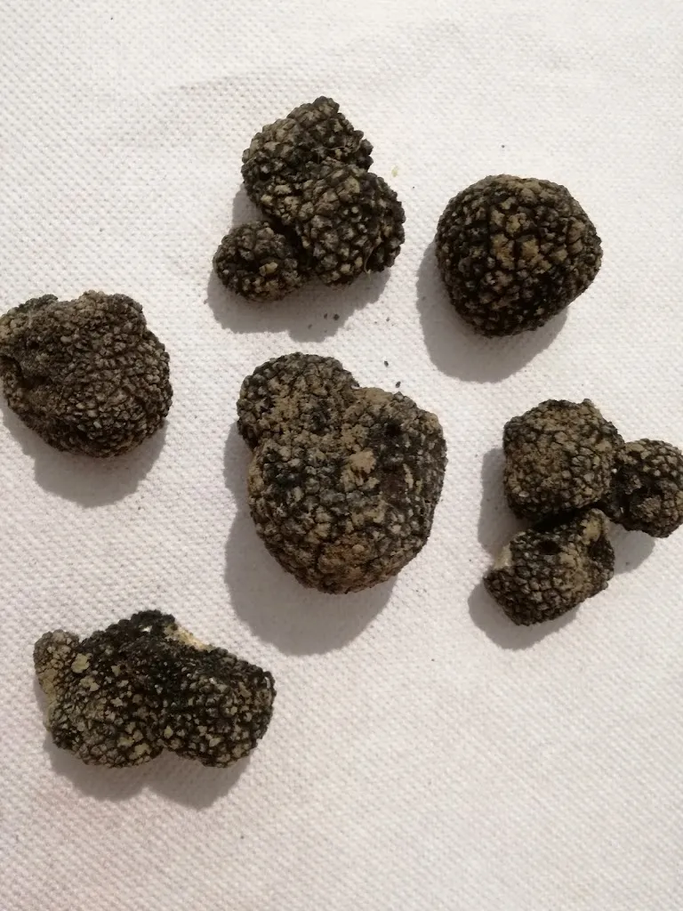 Menü_Il tratturo agriturismo_Cugnoli_Bild_1