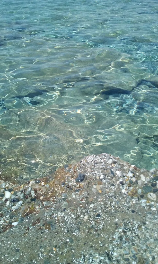 Pino Pitasi_Bar Ristorante di Surace Vincenzo_Motta San Giovanni_review