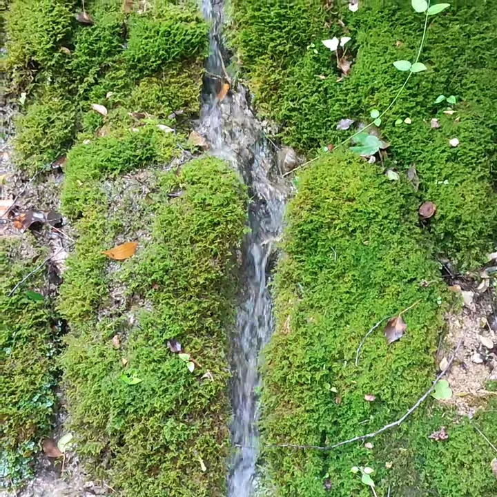 Marina Caldarola_LA COSTA affittacamere ristorante b&b_Orsomarso_recensione