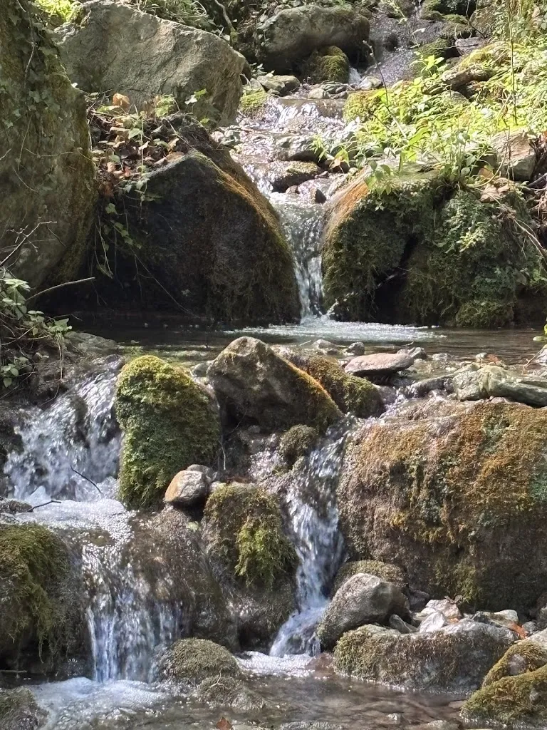 Francesco Loiacono_Rifugio Montano_Orsomarso_review