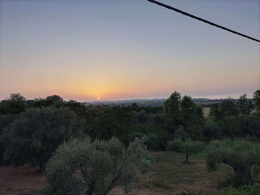 Pizzeria Villa Teresa_Pannaconi_slider_image_2