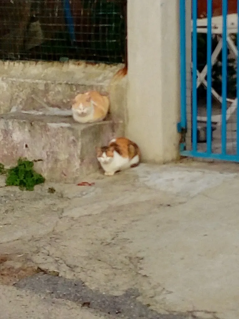 El Morocco Bar Ristorante Pizzeria_Nicotera_slider_image_2