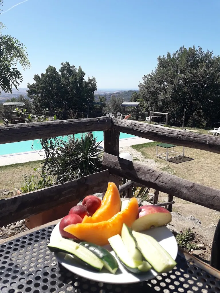 antonio garofalo_Agriturismo La Basiliana Petilia Policastro_Petilia Policastro_review