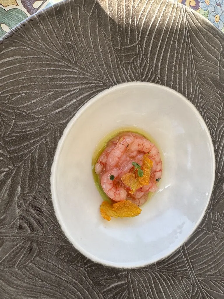 gerri vitiello_Sun Beach_Palmi_review