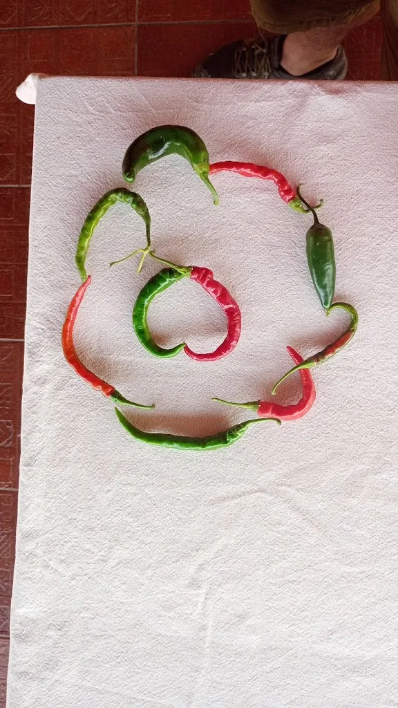 Menu_VillaBelvedere_Palmi_image_2