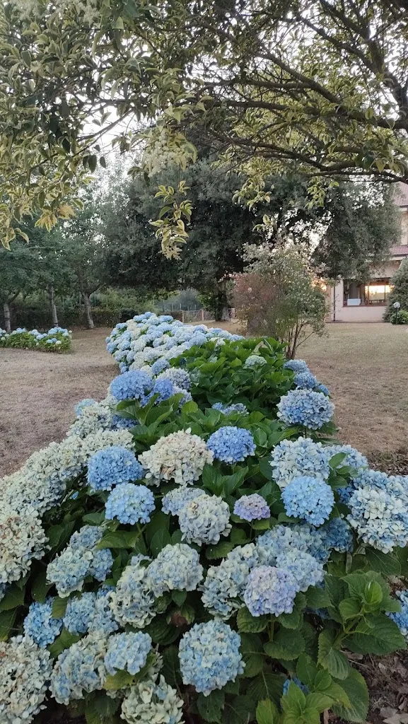 Valeria Tripodi_Ristorante La Fattoria_Palmi_review