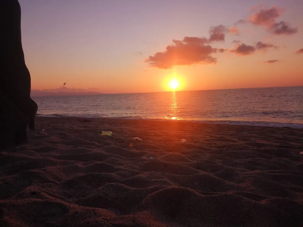 Lido Pierino_Palmi_slider_image_3